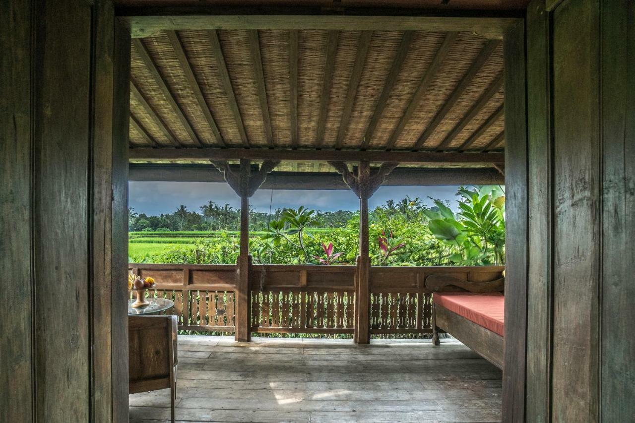 Malaya Villas Ubud Tegallalang  Buitenkant foto