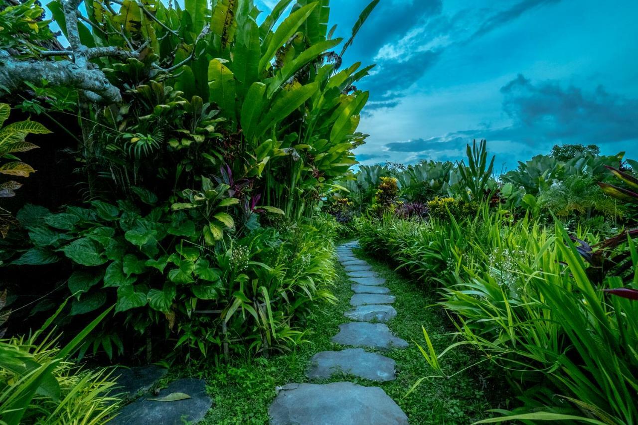 Malaya Villas Ubud Tegallalang  Buitenkant foto