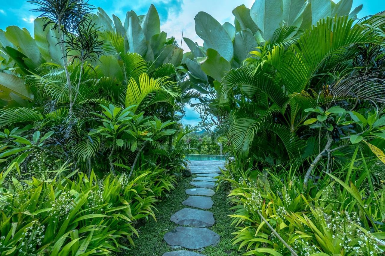 Malaya Villas Ubud Tegallalang  Buitenkant foto