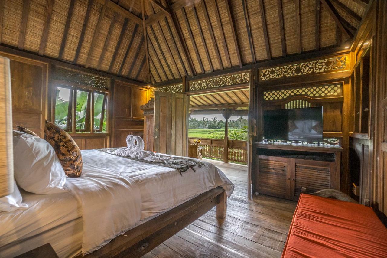 Malaya Villas Ubud Tegallalang  Buitenkant foto