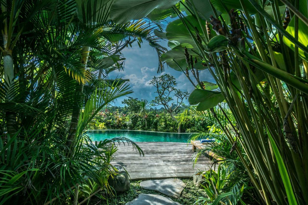 Malaya Villas Ubud Tegallalang  Buitenkant foto