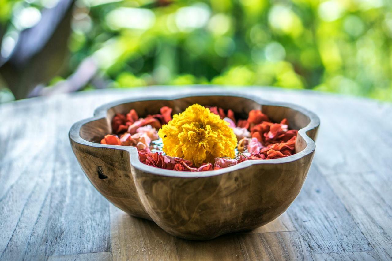 Malaya Villas Ubud Tegallalang  Buitenkant foto